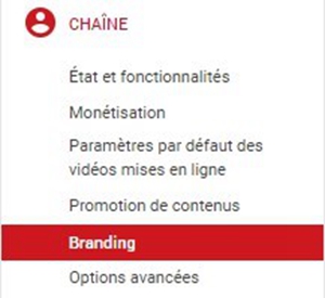Cliquer sur « Branding »