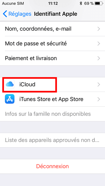 iCloud iPhone/iPad