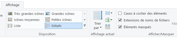 afficher les éléments cachés sur Windows